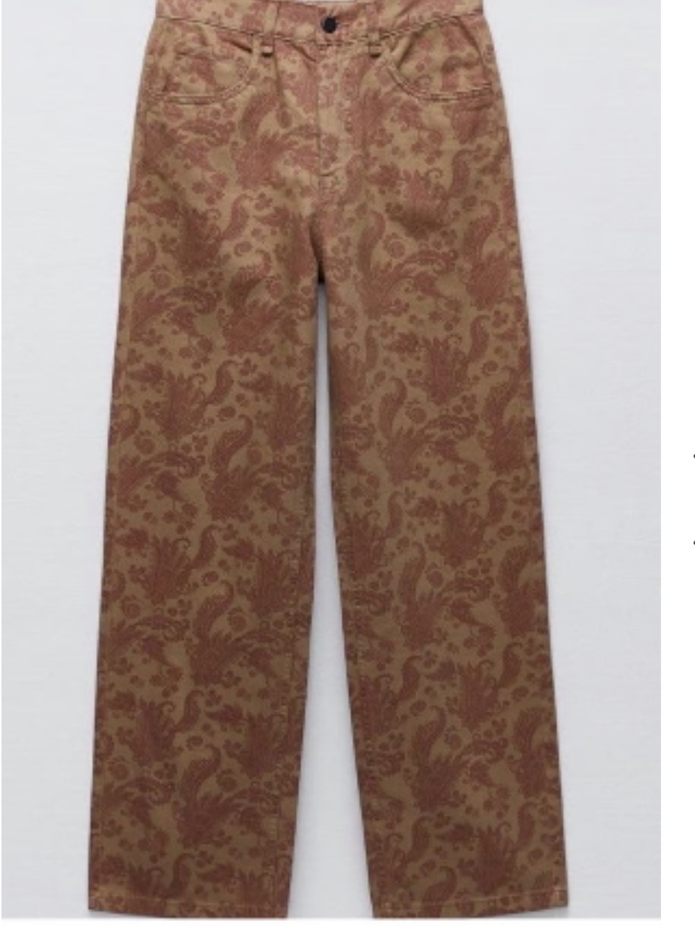 ZARA Paisley-Print Straight Leg